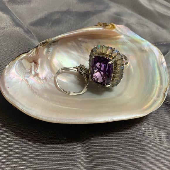 Seashell beach decor - Picture 2 of 4